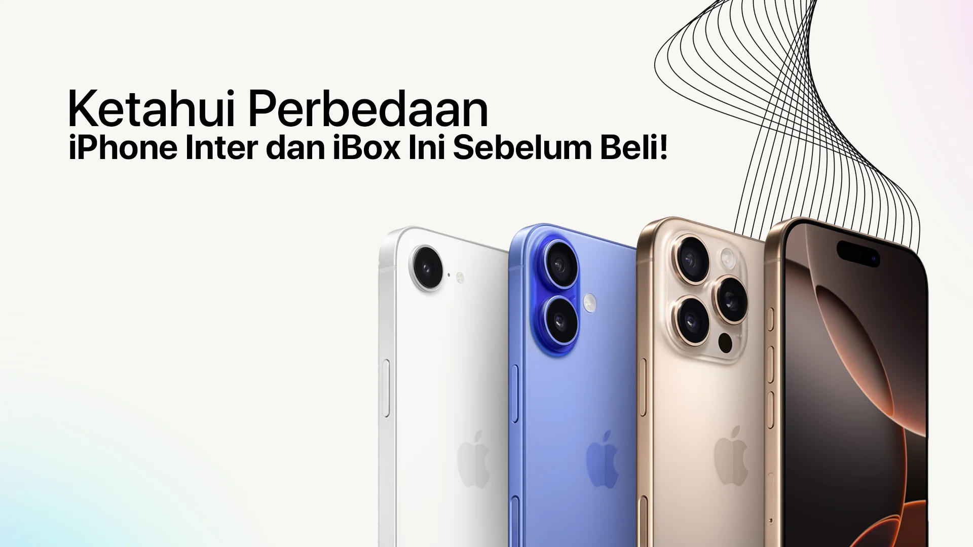 Hati-Hati! Ketahui Perbedaan iPhone Inter dan iBox Sebelum Beli