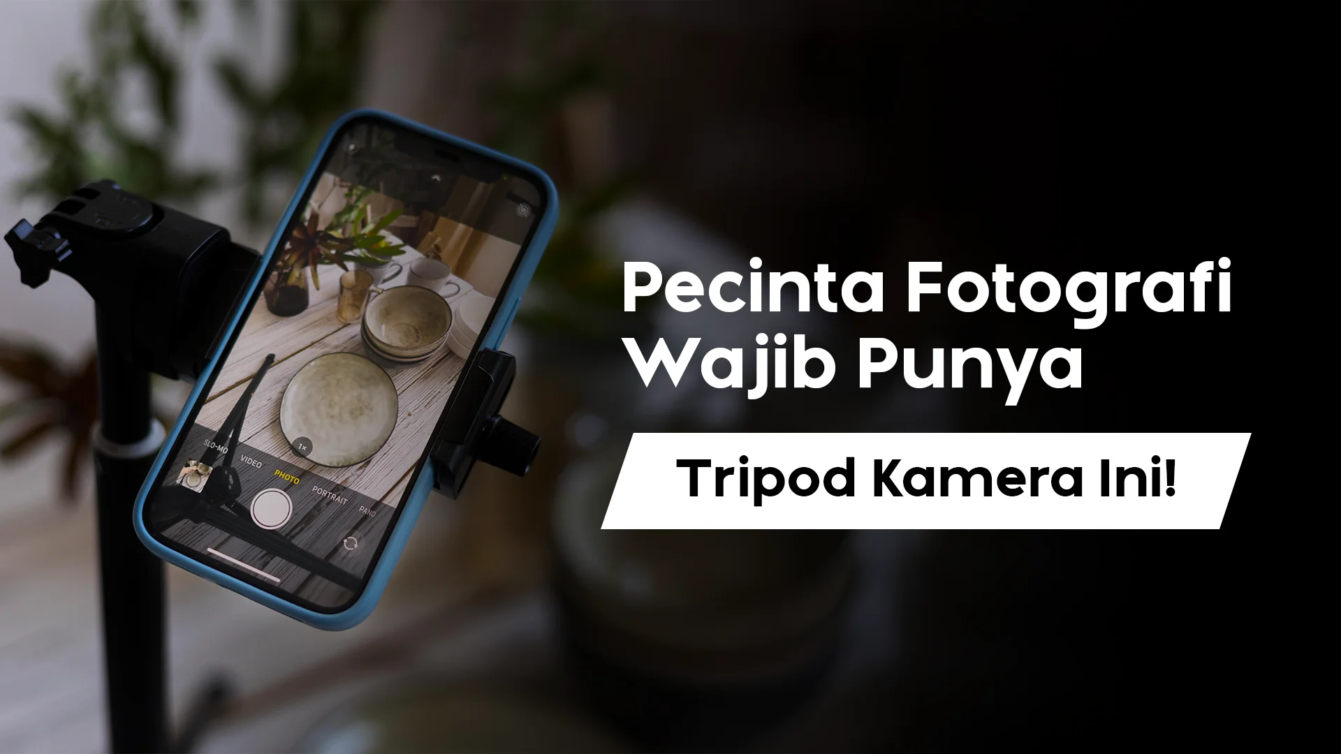 Anti Ribet Waktu Foto! Ini Rekomendasi Tripod Kamera Buatmu!
